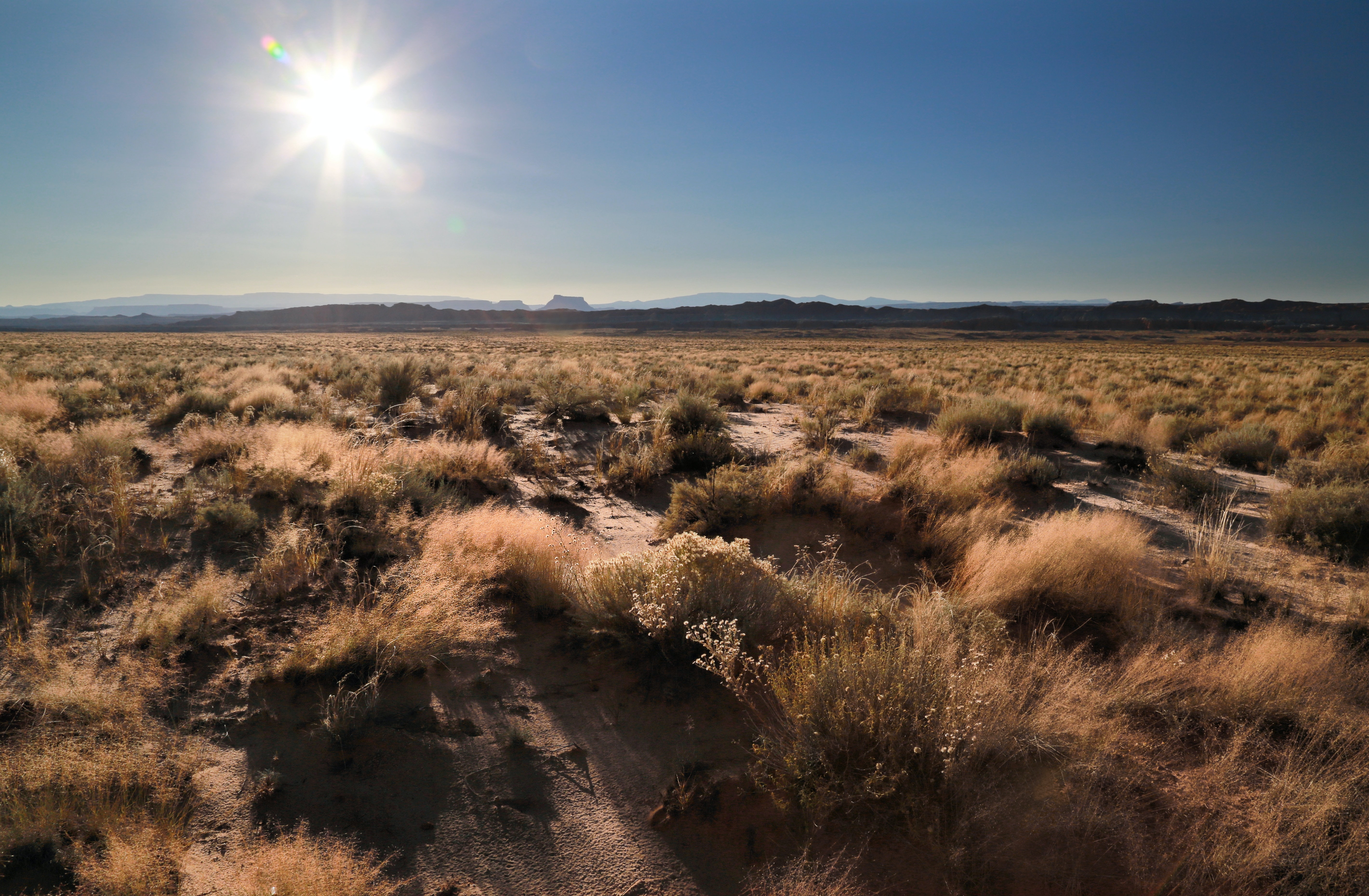 high desert